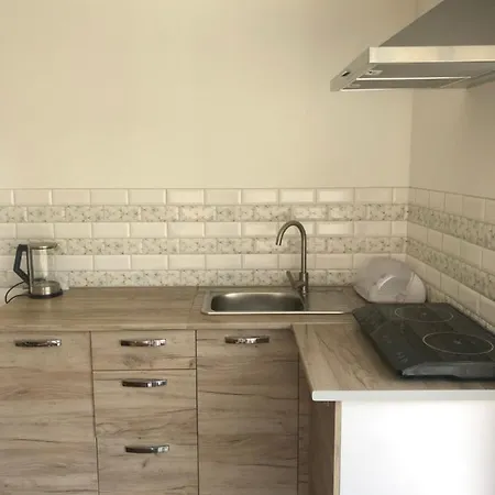 Tatil Evi будинок з лазнею Mizhhirya (Transcarpathia)