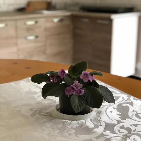 Vakantiehuis будинок з лазнею *