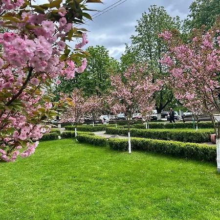 Feriehus будинок з лазнею Mizhhirya (Transcarpathia)