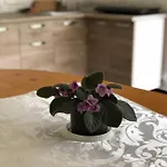 Hébergement de vacances будинок з лазнею *